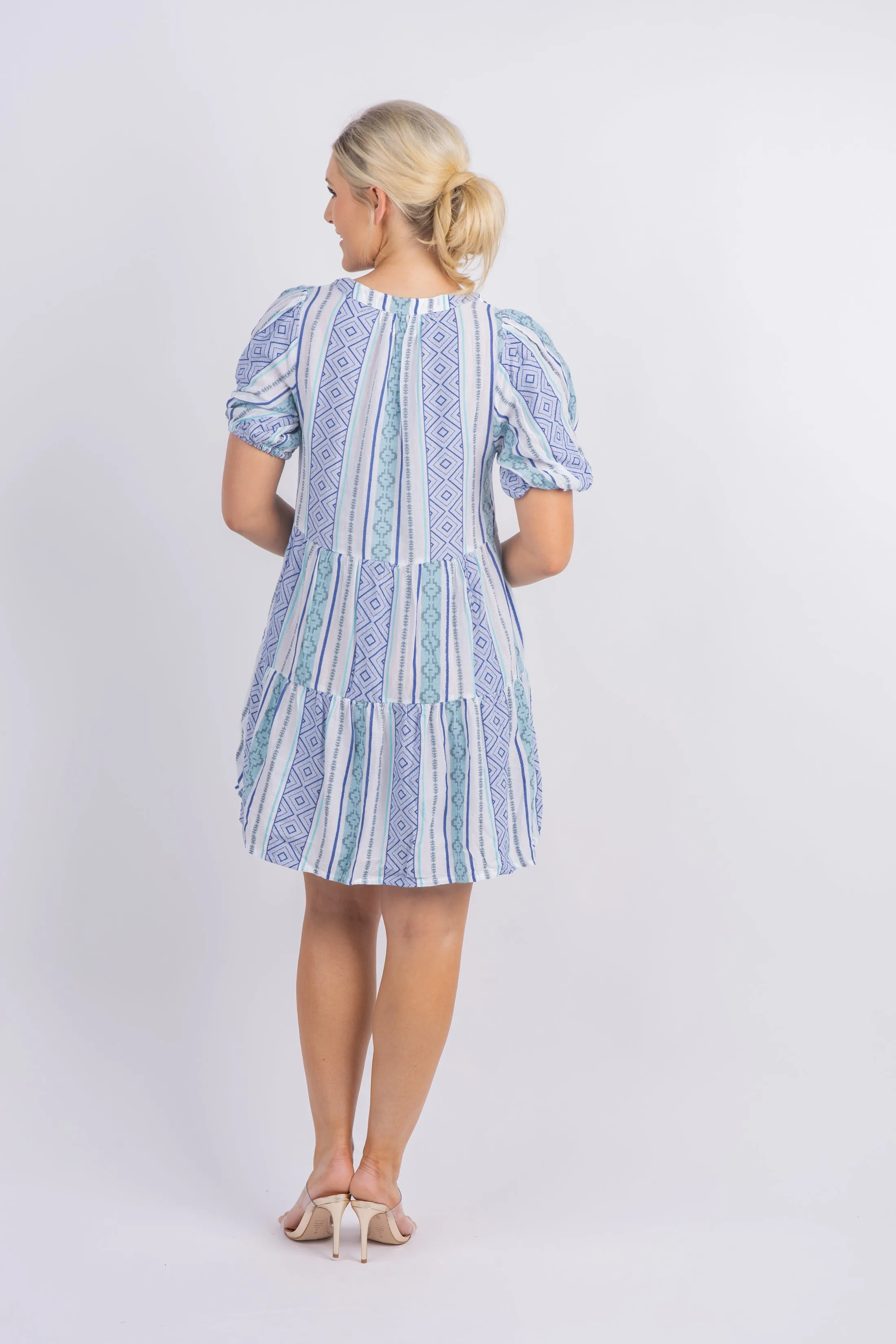 Velvet by Graham & Spencer Monique Dress in Blue